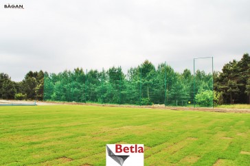 Siatki Jendrzejów - Jak chronią piłkochwyty na boiska sportowe? dla terenów Jendrzejowa